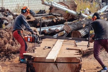 Oduncu tahta yapmak için ağaç gövdesini elektrikli testere ile kesiyor.