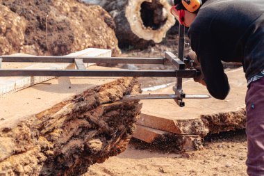 Oduncu tahta yapmak için ağaç gövdesini elektrikli testere ile kesiyor.