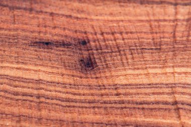 Arka plan için ağaç kalası dokusu. Ağaç gövdesi dokusunu kes. Ahşap doku