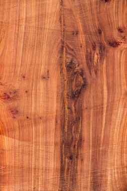 Arka plan için ağaç kalası dokusu. Ağaç gövdesi dokusunu kes. Ahşap doku