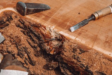 Marangoz, ağaç gövdesinden penseyle metal nesneyi kaldırıyor. El yapımı reçine ve ahşap masa.