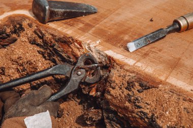 Marangoz, ağaç gövdesinden penseyle metal nesneyi kaldırıyor. El yapımı reçine ve ahşap masa.