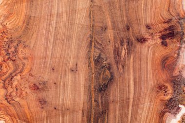 Arka plan için ağaç gövdesi dokusu. Ağaç gövdesi dokusunu kes. Ahşap doku