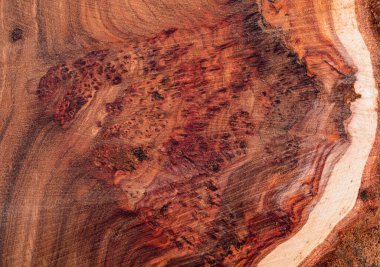 Arka plan için ağaç gövdesi dokusu. Ağaç gövdesi dokusunu kes. Ahşap doku