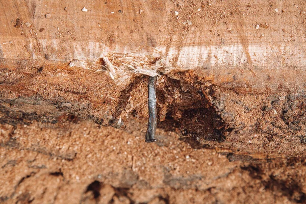 Ağaç gövdesine saplanmış metal nesneleri kapatın. El yapımı reçine ve ahşap masa.