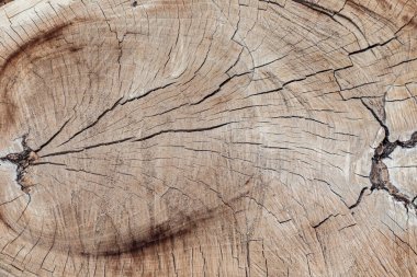 Yıllık halkaları ve çatlakları olan eski ağaç kütüğünün dokusu. Ahşap doku