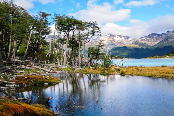 Горное Озеро Фоне Гор Красивая Природа — стоковое фото