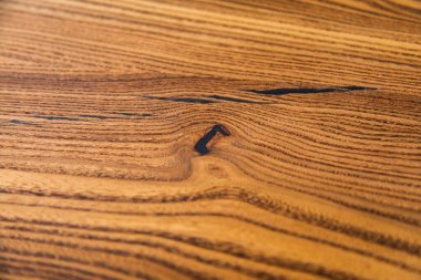 Arka plan için ağaç gövdesi dokusu. Yıllık ağaç halkalarının kaba organik dokusunu kapat