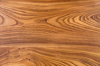 Arka plan için ağaç gövdesi dokusu. Yıllık ağaç halkalarının kaba organik dokusunu kapat