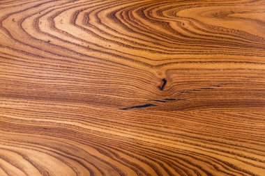 Arka plan için ağaç gövdesi dokusu. Yıllık ağaç halkalarının kaba organik dokusunu kapat