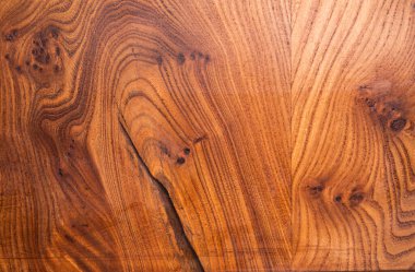 Arka plan için ağaç gövdesi dokusu. Yıllık ağaç halkalarının kaba organik dokusunu kapat