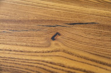 Arka plan için ağaç gövdesi dokusu. Yıllık ağaç halkalarının kaba organik dokusunu kapat