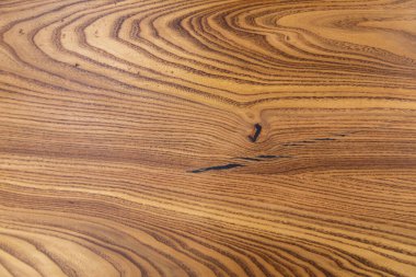 Arka plan için ağaç gövdesi dokusu. Yıllık ağaç halkalarının kaba organik dokusunu kapat