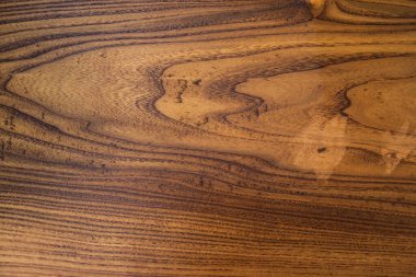 Arka plan için ağaç gövdesi dokusu. Yıllık ağaç halkalarının kaba organik dokusunu kapat