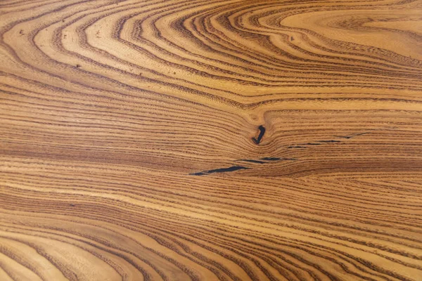 Arka plan için ağaç gövdesi dokusu. Yıllık ağaç halkalarının kaba organik dokusunu kapat