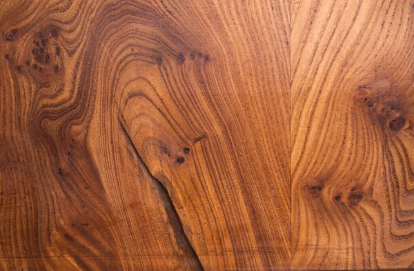 Arka plan için ağaç gövdesi dokusu. Yıllık ağaç halkalarının kaba organik dokusunu kapat