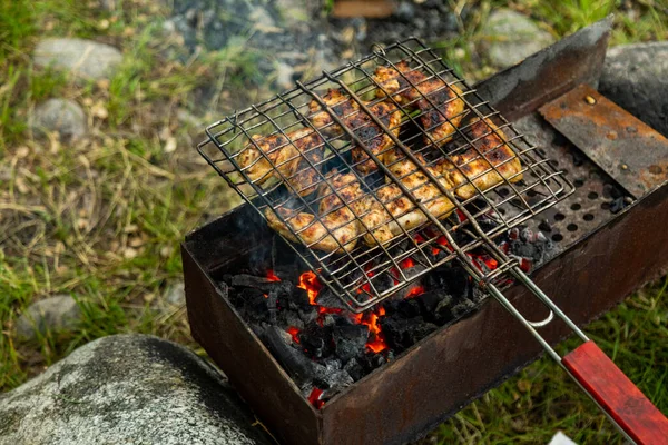 Kycklingvingar Metallgaller Grillning Fräs Med Flammande Kol Utegrill — Stockfoto