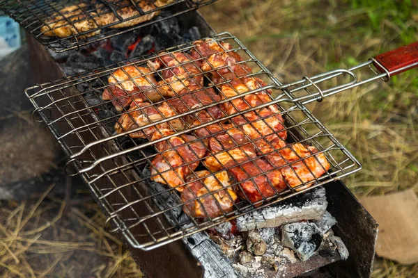 숯불을 화덕에 쇠고기 고기와 고기를 곁들인다 바비큐 — 스톡 사진
