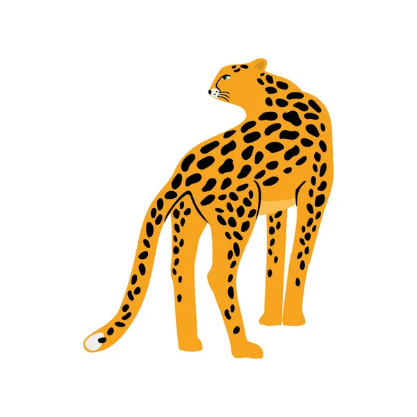 Африканский Леопард Гепарда Мультфильм Изолирован Белом Фоне Дизайн Наклейки — стоковый вектор