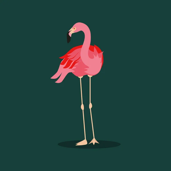 Flamingo Rosa Significa Fundo Isolado Nórdico Paisagem Verão Ilustração Plana — Vetor de Stock