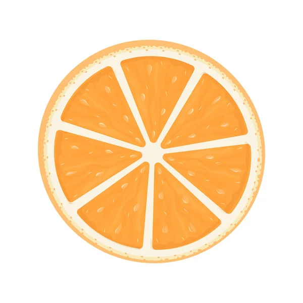 橙片热带食物病媒图解 — 图库矢量图片