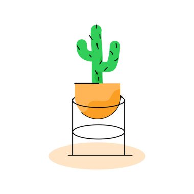 House decorative cactus plant vector illustration