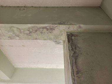 Binanın kolon kirişleri, yapının yapısı, mantarlar inşa ediliyor 