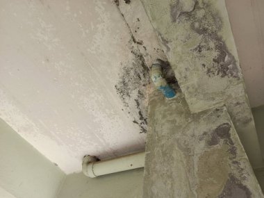 Binanın kolon kirişleri, yapının yapısı, mantarlar inşa ediliyor 