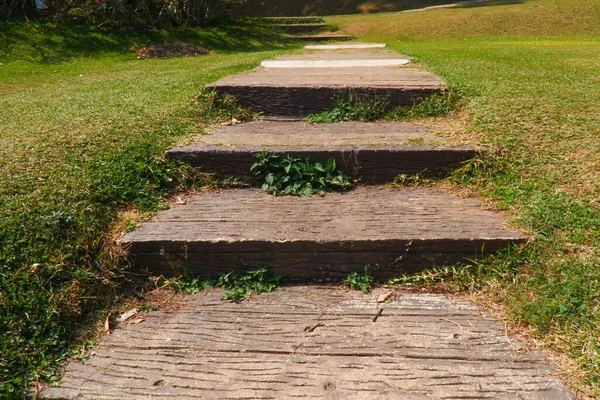 Walkway Beautiful Park — Stock Photo, Image