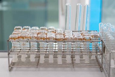 A set of clean volumetric flasks with orange graduations arranged neatly in a stainless steel rack, ready for use in a laboratory setting. Ideal for analytical chemistry and precision measurement