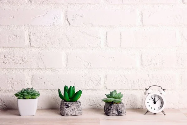 Beyaz tuğladan bir duvarın arka planında alarm saati olan çömleklerdeki küçük sulular. Metin için alanı kopyala.