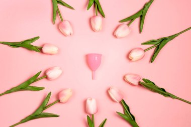Menstrual cup surrounded by tulips on a pink background. Women's health, hygiene concept.