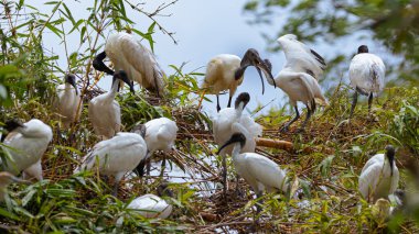 Çocuk ve ailesi bir yuvada.