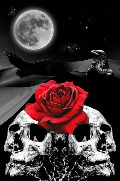 乌鸦和月亮 人的头骨和月亮在夜空中 人类的头骨和月亮在沙漠中 万圣节和爱情背景 印刷品的设计 — 图库照片