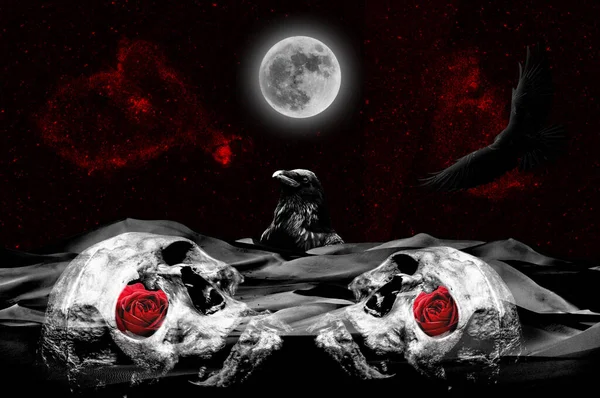 Schedel Roos Kraaien Maan Menselijke Schedel Maan Aan Nachtelijke Hemel — Stockfoto