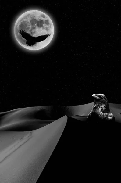Krähen Und Der Mond Krähen Und Mond Nachthimmel Krähen Und — Stockfoto