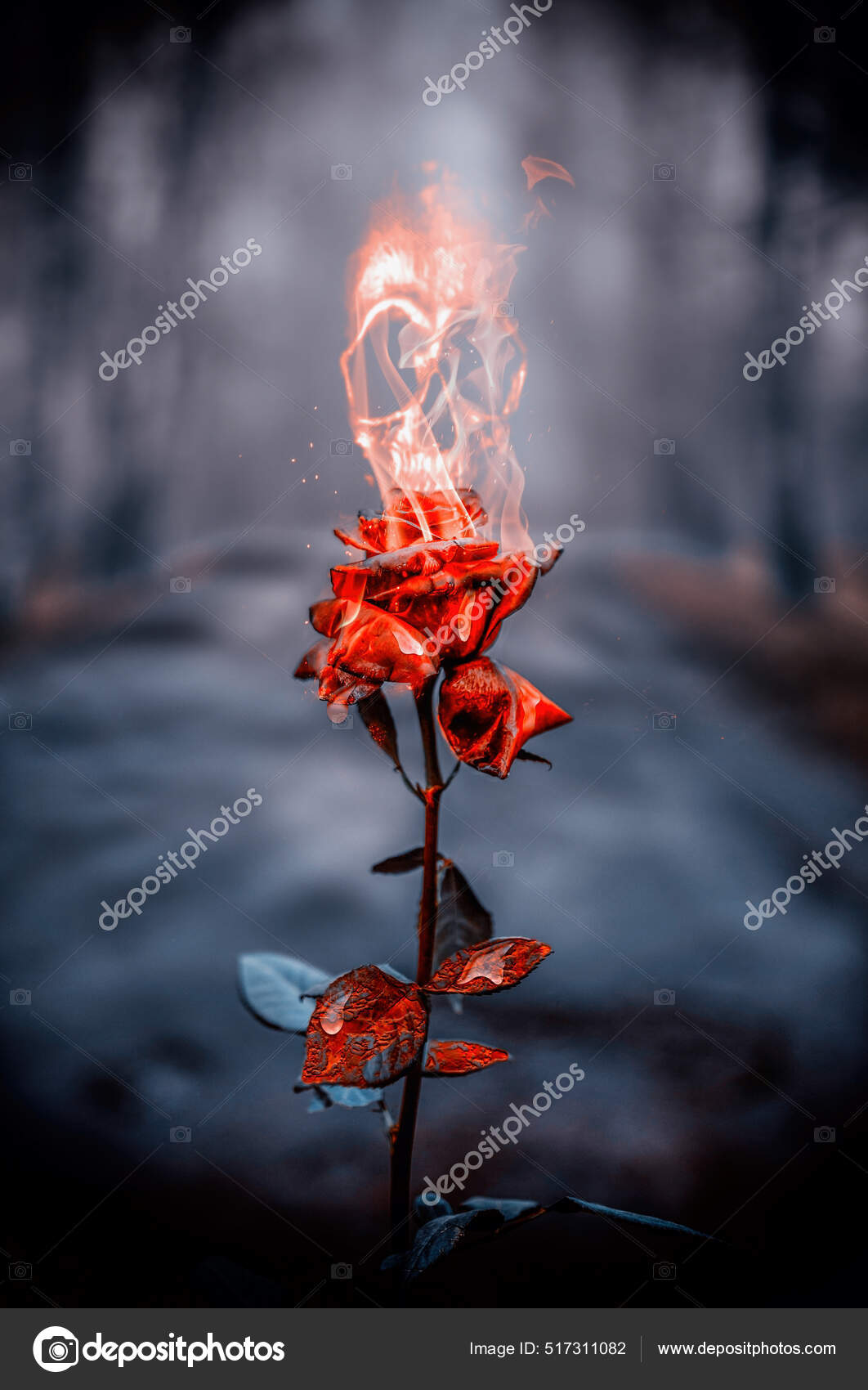 Burning Red Rose Forest Human Skull Comes Out Burning Rose Stock Photo