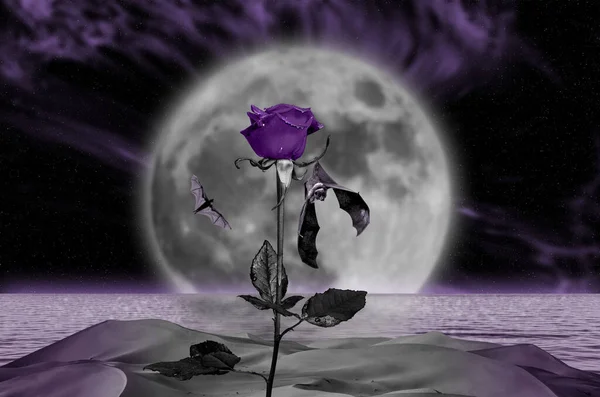 Night Sky Moonlight Violet Rose Night Sky Moonlight Bat Hanging — Stock Photo, Image