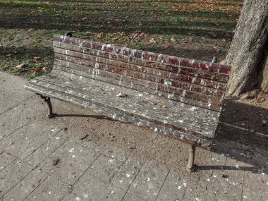 Wooden bench in the park covered by birds droppings, pigeon poop, Old wooden bench surface damaged by birds droppings showing the mess made by the birds.