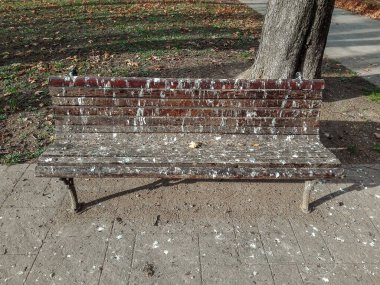 Wooden bench in the park covered by birds droppings, pigeon poop, Old wooden bench surface damaged by birds droppings showing the mess made by the birds.