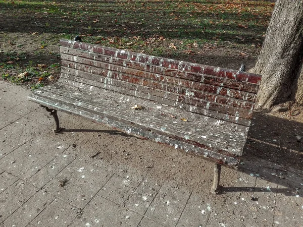 Wooden bench in the park covered by birds droppings, pigeon poop, Old wooden bench surface damaged by birds droppings showing the mess made by the birds.
