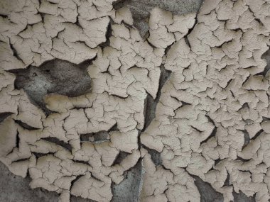 Boya kabuğu ya da su toplayan duvar. Dökülen duvarın dokusu.