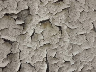 Boya kabuğu ya da su toplayan duvar. Dökülen duvarın dokusu.