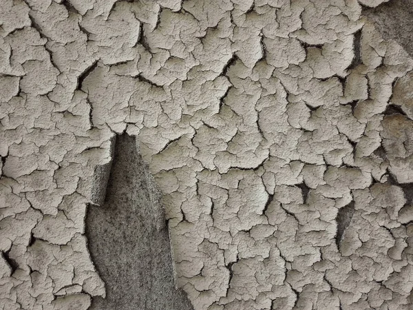 Boya kabuğu ya da su toplayan duvar. Dökülen duvarın dokusu.