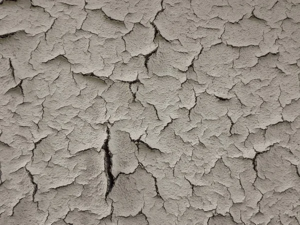 Boya kabuğu ya da su toplayan duvar. Dökülen duvarın dokusu.