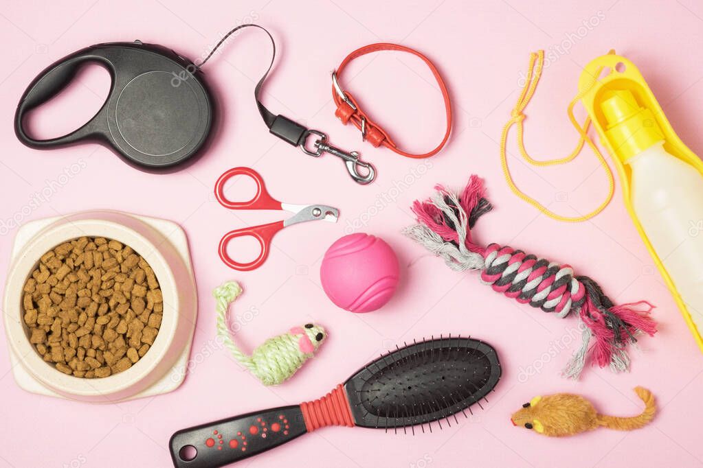Accessories for animals on a pink background. Leash, water bottle, toys, hairbrush, food in a bowl. 