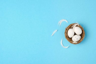 Paskalya yumurtaları, mavi arka planda yuvadaki tüyler. Minimum konsept, üst görünüm. Boşluğu kopyala.
