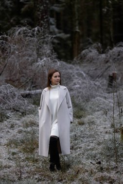 Soğuk bir günde güzel bir kadının portresi. İlk kar