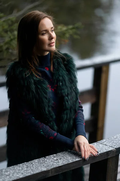 Portrait d'une belle femme par une journée glacée. Première neige — Photo