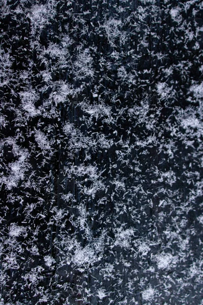 The first snow on the ice of a lake in the forest — Stock Photo, Image